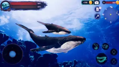 The Humpback Whales screenshot 3
