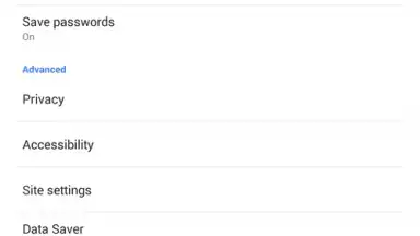 Chrome Dev screenshot 1