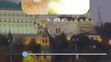 Bluebird Russian screenshot 5