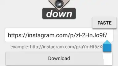Video Downloader for Instagram screenshot 4