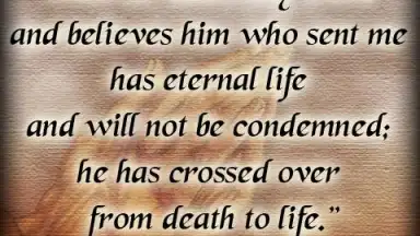 Bible Quotes Live Wallpaper screenshot 2