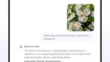 Qwen Chat screenshot 3