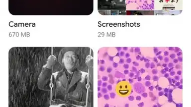 Google Gallery screenshot 2