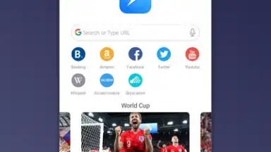 Mini Private Browser: Fast Search, Download, No Ad screenshot 4