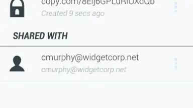 Copy screenshot 4