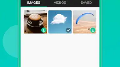 WAStatusGrabD screenshot 4