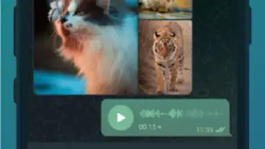 TG Connect screenshot 4
