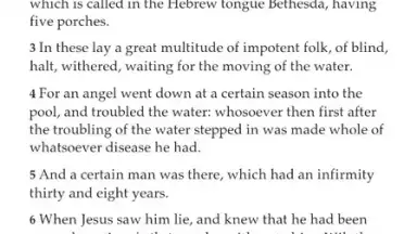 Biblioteca del Evangelio screenshot 7