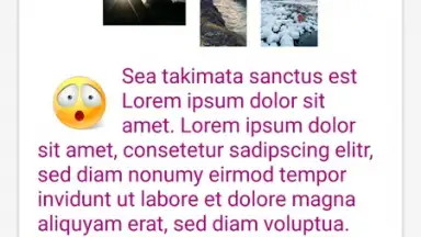 Handy Journal screenshot 2