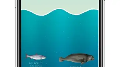 Neal Fun screenshot 1