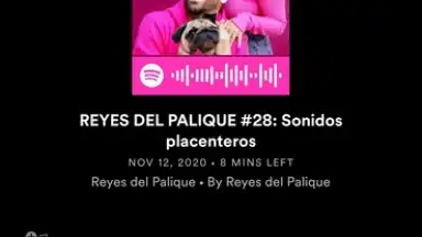 Spotify screenshot 18