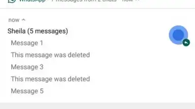 WhatsRemoved screenshot 9