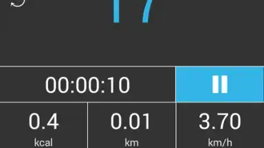 Accupedo Pedometer screenshot 5