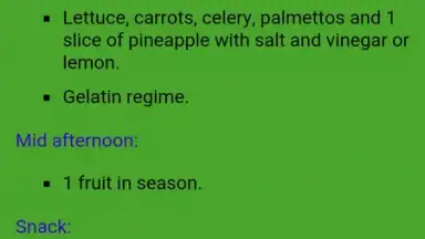 Summer Diet Express screenshot 1