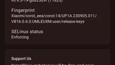 KernelSU screenshot 1