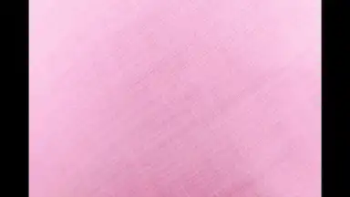 HedgeCam 2 screenshot 8