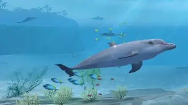 Sharks VR screenshot 1