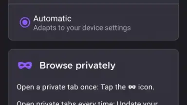 Iceraven Browser screenshot 4