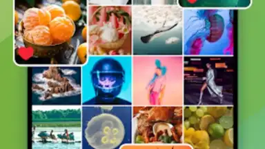 Gallery screenshot 14