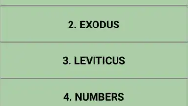 The bible quiz game screenshot 4