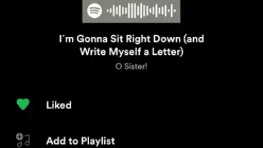 Spotify screenshot 22