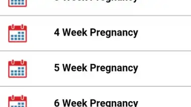 Pregnancy Weekly screenshot 2