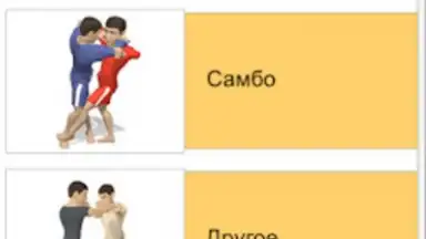 ПрофПриёмы 3Д ММА screenshot 5