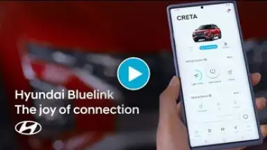 Bluelink screenshot 1