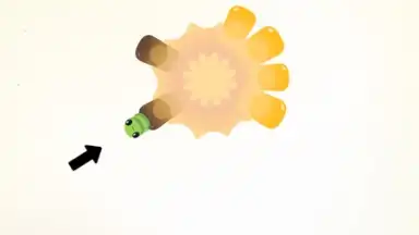 Pigeon Pop screenshot 15