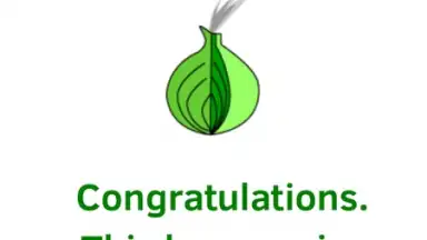 Orfox: Tor Browser screenshot 10