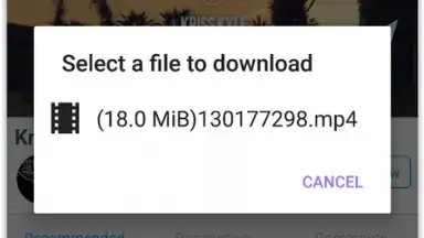 VIP Video downloader screenshot 4