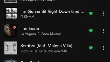 Spotify screenshot 17