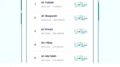 The Holy Quran - English screenshot 4