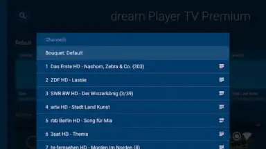 dream Player IPTV for Android TV screenshot 4