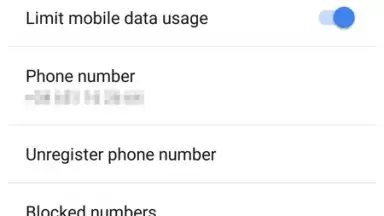 Google Meet screenshot 3