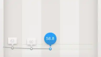 Smart Scale screenshot 1