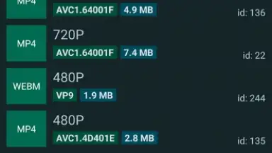 YTDLnis screenshot 7