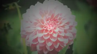 After Effect screenshot 7