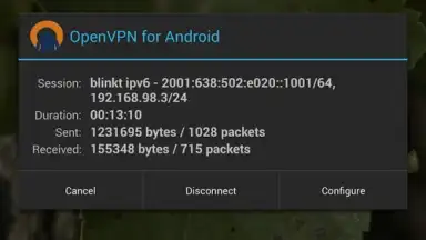 OpenVPN screenshot 10