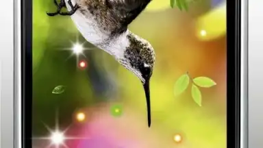 Colibri Spring 3D LWP screenshot 3