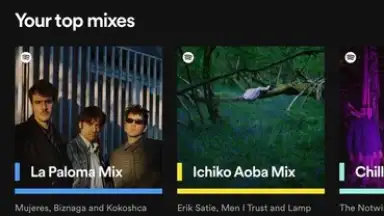 Spotify screenshot 11