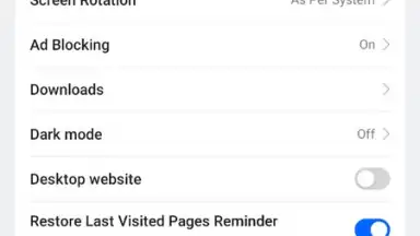 Internet Browser screenshot 6