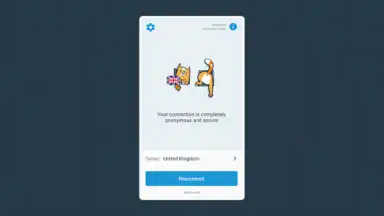 hidemy.name VPN screenshot 10