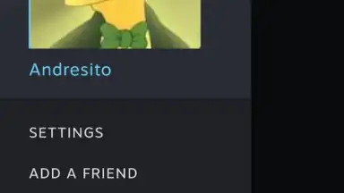 Steam Chat screenshot 6