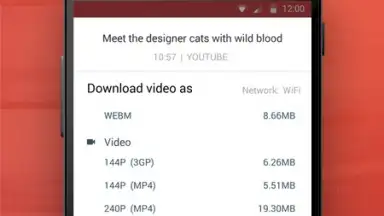 InsTube YouTube Downloader screenshot 4