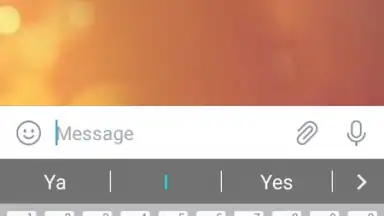Red Circle Messenger screenshot 2