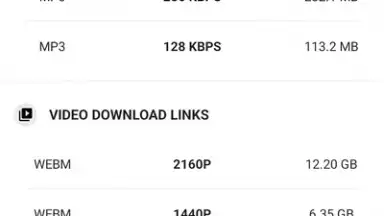 YVideo Downloader screenshot 4