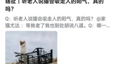 Zhihu screenshot 13