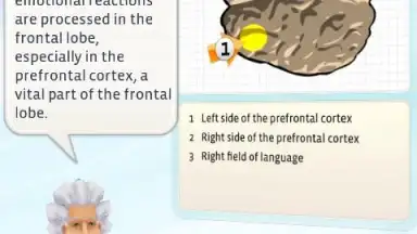 Einstein HD free screenshot 1