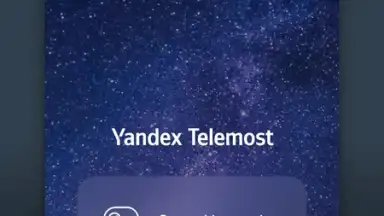 Yandex.Telemost screenshot 3